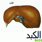 SEPTEMBRE Grossesse et hépatites virales gastro casa procto casa – الحمل و الالتهابات الكبدية الفيروسية                                                 Grossesse et hépatites virales  الحمل و الالتهابات الكبدية الفيروسية:Gastro-entérologue, proctologue