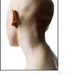 mars chimiothérapie néo-adjuvante dans le cancer du côlon : un nouveau concept – ألكيميوتيرابي الاضافية لعلاج سرطان القولون : مبدأ حديث: s Gastro-entérologue, proctologue gastro casa procto casa