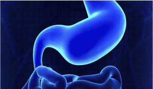 GASTROPARESIE ECRAN