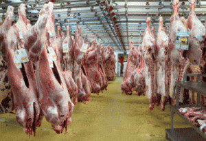VIANDE3 BOUGE