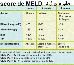 score-meld