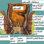 التهابات المستقيم : بين المعرفة و الفعل  rectites :savoir et fairegastro casa procto casaGastro-entérologue, proctologue