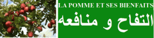 pomme gen bouge