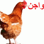 La viande et de volaille et le risque de diabète Gastro-entérologue, proctologue gastro casa procto casa