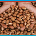 Huile d’argan et ses indications يت زيت أركان و دلائله:  Gastro-entérologue, proctologue gastro casa procto casa – – Partie 7 الجزء السابع