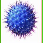 Microbes, virus, bactéries… Quelles différences ?: s Gastro-entérologue, proctologue gastro casa procto casa – PARTIE 1 الجزء الأوال