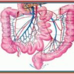 MAI الدلائل الحديثة لتطور التشمع الكبدي Nouveaux marqueurs pronostiques de la cirrhoseGastro-entérologue, proctologue gastro casa procto casa