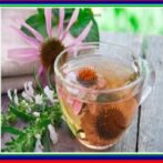 Les remèdes naturels contre la grippe et le rhume:s Gastro-entérologue, proctologue gastro casa procto casa     العلاجات الطبيعية ضد أنفلونزا و النزلات – Partie 4 الجزء الرابع