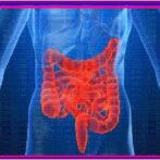 video colon iritable malabsorption