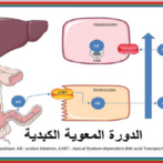 متى نتذكر حالة سوء الامتصاص ازاء ظاهرا ت متلازمة الأمعاء االمنفعلة ؟ كيف يتم تأكيد ذلك؟ متلازمة الأمعاء االمنفعلة ؟ كيف يتم تأكيدذلك ؟partie 15الجزء الخامس عشر Quand évoquer une malabsorption devant des manifestations de syndrome de l’intestin irritable ? Comment la confirmer