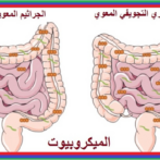 متى نتذكر حالة سوء الامتصاص ازاء ظاهرا ت متلازمة الأمعاء االمنفعلة ؟كيف يتم تأكيد ذلك؟ متلازمة الأمعاء االمنفعلة ؟كيف يتم تأكيدذلك ؟Quand évoquer une malabsorption devant des manifestations de syndrome de l’intestin irritable ? Comment la confirmer؟  PARTIE17 الجزء الالسابع عشر