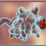 L’AMIBIASE- مرض ألأميبيا-الاسهال -Diarrhée Gastro-entérologue, proctologue gastro casa procto casa -الجزء الأول Partie 1
