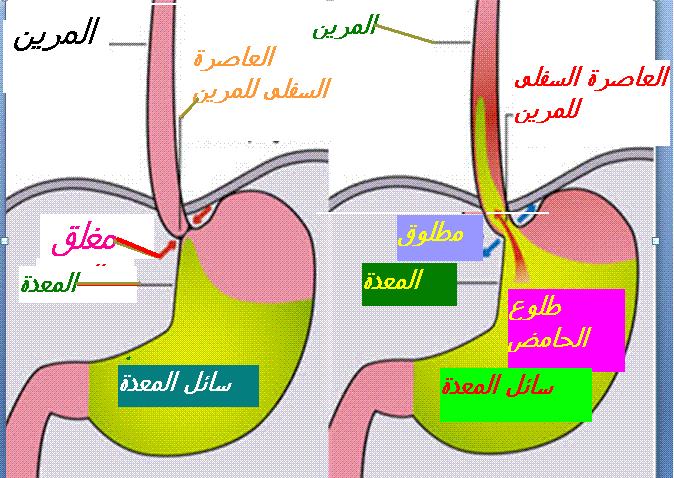 L’attribut alt de cette image est vide, son nom de fichier est image.png.