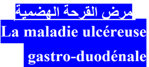 L’attribut alt de cette image est vide, son nom de fichier est image-34.png.