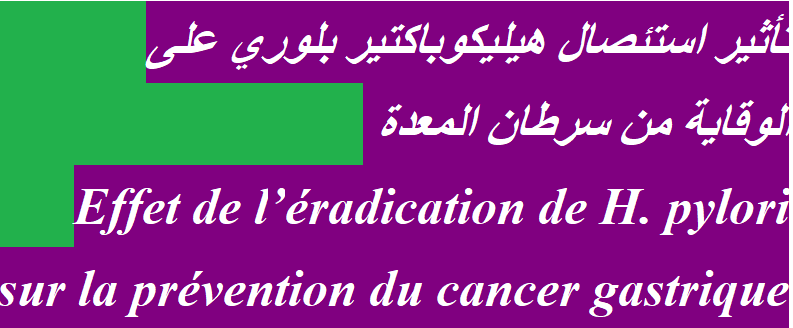 L’attribut alt de cette image est vide, son nom de fichier est image-37.png.