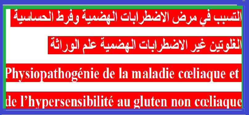 L’attribut alt de cette image est vide, son nom de fichier est titraaaaaaaaaaaaaaaaaaaaaaaaaaaaaa.png.